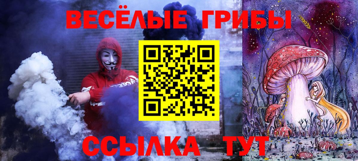 Галлюциногенные грибы Psilocybe Норильск